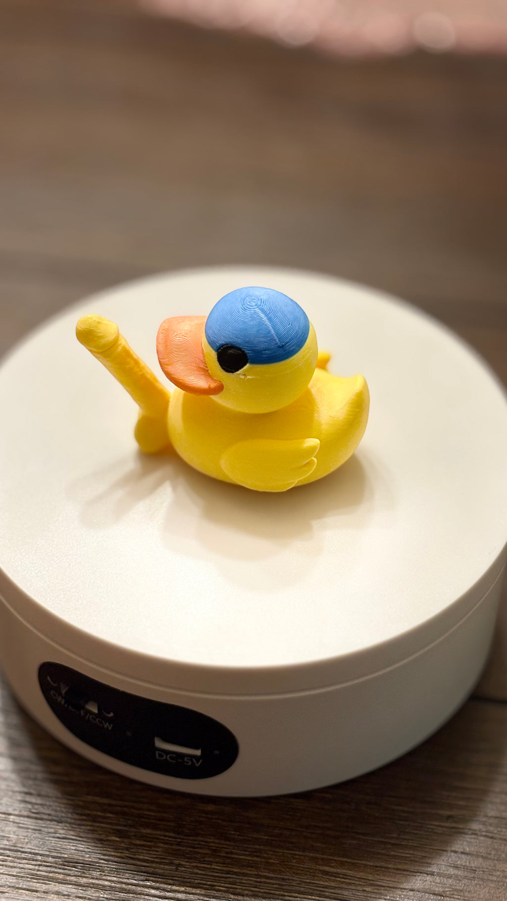 Multi-Color D Duck for Jeep!